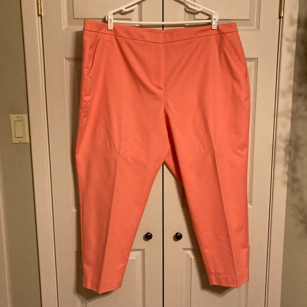 Lane Bryant ankle pant size 28